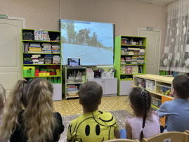 Условия для получения ДО обучающимися с ОВЗ Условия для получения ДО обучающимися с ОВЗ.
