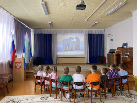 Условия для получения ДО обучающимися с ОВЗ Условия для получения ДО обучающимися с ОВЗ.
