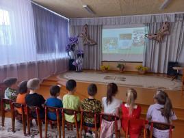 Условия для получения ДО обучающимися с ОВЗ Условия для получения ДО обучающимися с ОВЗ.